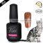 NEWEST!!! hot salegel polish, nail arts design,cat 'eyes gel nail polish with free samples