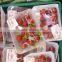 China made meat packing pp fresh tray with pad