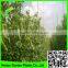 Support Peas Runner Beans & Sweet Peas Climbing Plant Support Mesh Net