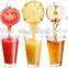 Professional Fruit Precessing Machine In All Kinds Of Juice Separation