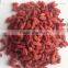Health Goji Berries