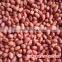 silihong red skin peanut kernels