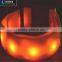 Hot new pet product led dog collar