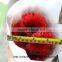 wholesale tropical fresh cut mum flowers single head gerbera from kunming