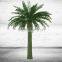Huge Artificial Washingtonia Palm