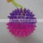 Colorful soft whistle spiky plastic balls(CT9008227)