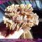 Wholesale human hair brazilian virgin hair flat tip hair extension