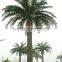 Artificial Tree For Palm Tree Large Landscape Tree Date Palm Customized Date Palm Tree Phoenix Dactylifera