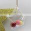 Openable Plastic Balls Hang Christmas Tree Clear Acrylic Candy Ball Star Shaped Box