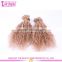 Qingdao high quality no tangle no shed hair weave 100% virgin malaysian human hair clip in jerry curl hair extension