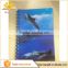 PVC cover dolphin 3D lenticular double spiral gragh paper notebook