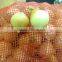 fresh onion