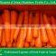 Natural organic fresh red sweet baby carrot price from south of China