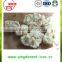 Export bulk IQF Frozen Cauliflower