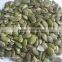 HACCP & ISO roasted and salted pumpkin seeds kernel
