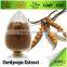 GMP ISO Natural Cordyceps Sinensis Extract Powder Polysaccharide