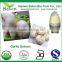 Allicin 1-6% Best Quality Garlic Extract