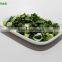 Fresh Air Dried Chive Roll Green Onion Roll