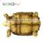 Nomo non-toxic super simulation high quality cute land tortoise model