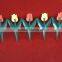 #18 High Quality Tempory Plastic Fencing with flower pattern