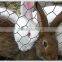 Hexagonal Wire mesh Netting