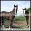 fixed knot woven wire deer fencecheap farm fencinggrassland fixed knot fence