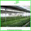 Seedbed for greenhouse nursery house