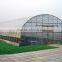 High quality plastic film covered green house for sale