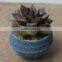 SJ10181201 Wholesale All Types Of artificial Cactus Plants