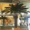 SJ12001106 date palm tree canary/canary jujube tree fake/fake palm tree in dubai