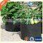 nonwoven felt smart pots plant pot (1 gallon to 150 gallon)