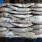 New stock sardine seafood supplier for export