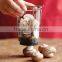 As seen on TV Kichen hand tool Mushroom Slicer / Mushroom Cutter