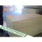 Construction Plywood