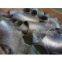 carbon steel seamless Elbow.