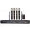 Panvotech PU-934 Wireless Microphone / four channel wireless microphone