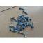 Galvanized Drywall Screw