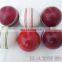 Cricket leather Ball