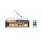 Hi Fi Bluetooth Digital Audio Car 2.1 Channel Home Audio Sound Amplifier