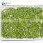 Sinocharm Bulk Price IQF Frozen Green Soybeans in 3 Pods