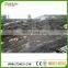 Brazil Cosmic Black Gold Granite Slab Price