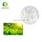 Hight Purity 99% Tea Polyphenols Best Green Tea Extract  Cas.NO 3081-61-6 40% L-Theanine