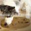 2022 Pet Educational Interactive Hot Selling Cute New Food Activity Wholesale Designer Eco Friendly Puzzle Dog Toys
