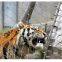 Not Easily Corroded Railing Rail Wire Rope Mesh Manufacturer's Supply