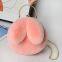 010Plush Bag Female Oblique Fashion Crossbody Shoulder Bag Lovely Chain Women Handbag Autumn Winter Rabbit Ear Clip Mouth Bag