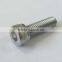 Hex socket head bolt