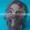 Pure Natural Amethyst Crystal Skull