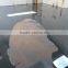 Scratch resistant European quality 2K Epoxy Self-Levelling flooring