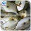 Bulk Packaging And Whole Part Pomfret
