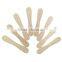 Ice Pop Maker/Ice Cream Stick/Popsicle Stick